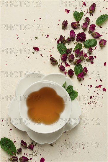 Cup of tea, damask rose, pink tea, close-up