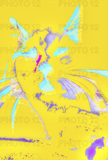 Michas Cats, art, mixed media, artist Michael Preyer, abstract cat portrait, portrait, cat head, painting, graphic, portrait of a cat, ears, whiskers, colour blocking, bright yellow with light blue, alienation, Germany, Europe