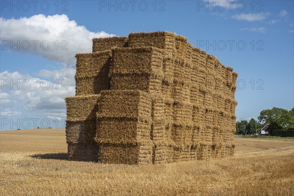 Pile of rectangular straw bales at Ystad, Skåne county, Sweden, Scandinavia, Europe