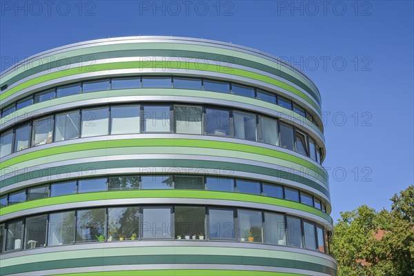 Green Amoeba, Humboldt University, Institute of Biology of the Faculty of Life Sciences, Rhoda-Erdmann-Haus, Philippstraße, Mitte, Berlin, Germany, Europe