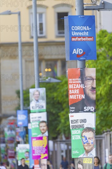 The hot phase of the state election campaign in Saxony can be seen in the amount of different messages on trees and lanterns, State election campaign in Saxony, Dresden, Saxony, Germany, Europe