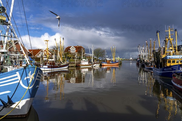 Cutter harbour Neuharlingersiel, shrimp cutter, East Frisia, Lower Saxony, Germany, Europe