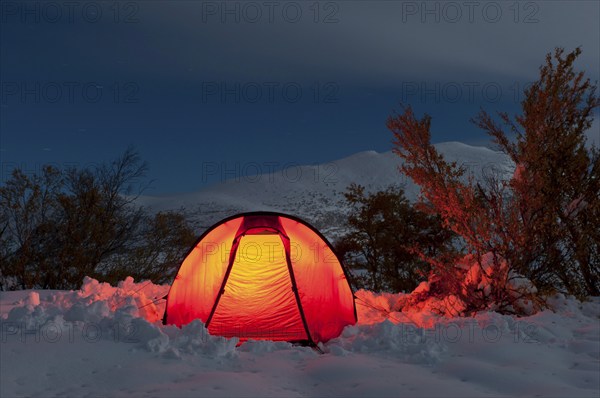 Illuminated tent on a bright moonlit night in the Doeralen valley, Rondane National Park, Oppland Fylke, Norway, Bivouac, Norway, Europe