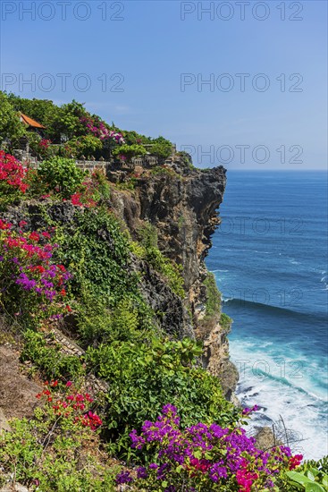 Cliffs, sea, sea coast, rocky coast, rocks, flowers, seascape, Pacific, Pacific Ocean, holiday paradise, paradisiacal, coast, tropical, holiday, bay, sea bay, nobody, travel, tourism, Uluwatu, Bali, Indonesia, Asia