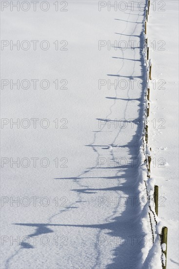 Icy pasture fence, natural landscape near Füssen, Ostallgäu, Bavaria, Germany, Europe