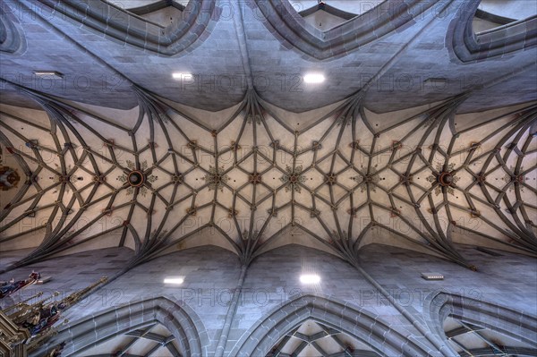 Late Gothic ribbed vault from the Heilig-Kreuz-Münster, 15th century, Rottweil, Baden-Württemberg, Germany, Europe