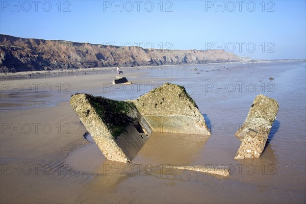 Rapidly eroding boulder clay cliffs on the Holderness coast, Mappleton, Yorkshire, England, United Kingdom, Europe