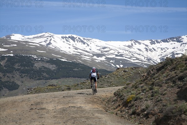 Cycling in the Sierra Nevada Mountains in the High Alpujarras, near Capileira, Granada Province, Spain, Europe