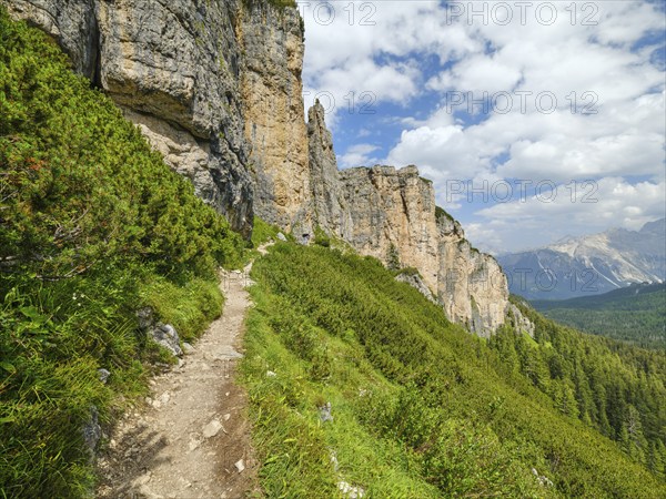 Hiking trail on the way to the Cinque Torri, Cortina d'Ampezzo, Dolomites, Cortina d'Ampezzo, Belluno, Veneto, Italy, Europe