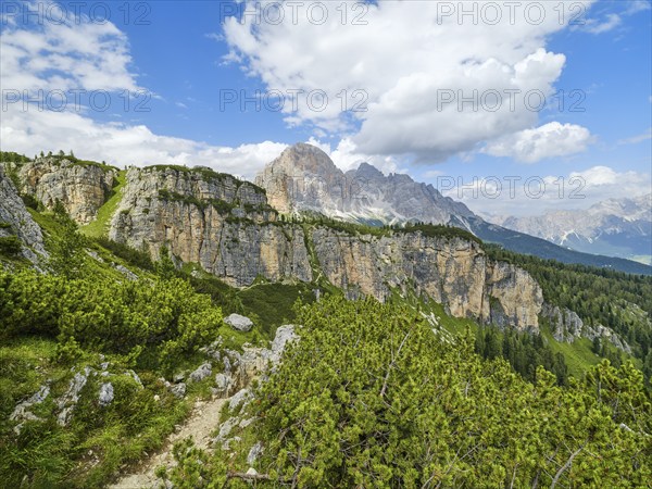 On the way to the Cinque Torri, view of the Fanes Group, Tofana di Rozes, Dolomites, Cortina d'Ampezzo, Belluno, Veneto, Italy, Europe