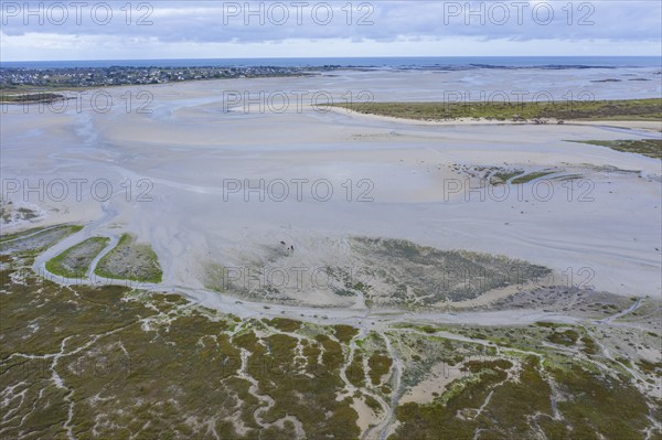 Aerial view Baie de Goulven bay at Keremma dune on the English Channel at low tide, sandbanks, Goulven, Leon, department Finistere Penn-ar-Bed, region Bretagne Breizh, France, Europe