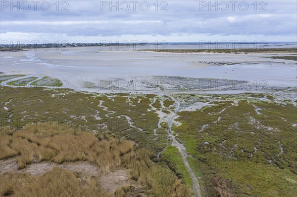 Aerial view Baie de Goulven bay at Keremma dune on the English Channel at low tide, sandbanks, Goulven, Leon, department Finistere Penn-ar-Bed, region Bretagne Breizh, France, Europe