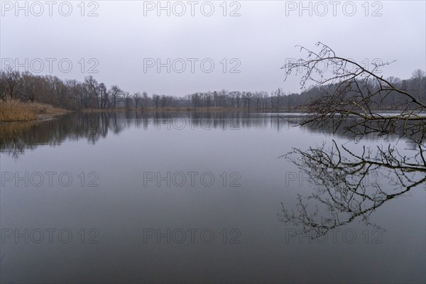 Winter impressions from the UNESCO biosphere reserve Upper Lusatian Heath Pond Landscape - Milkel