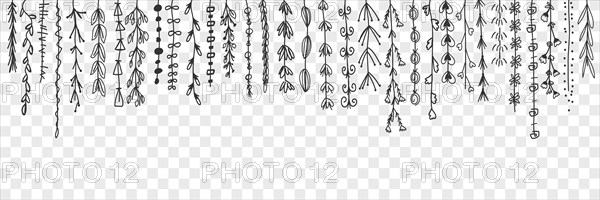 Hanging decorative lines with leaves doodle set. Collection of hand drawn hanging from above branches with elegant decorative leaves isolated on transparent background. Illustration of tree leaf