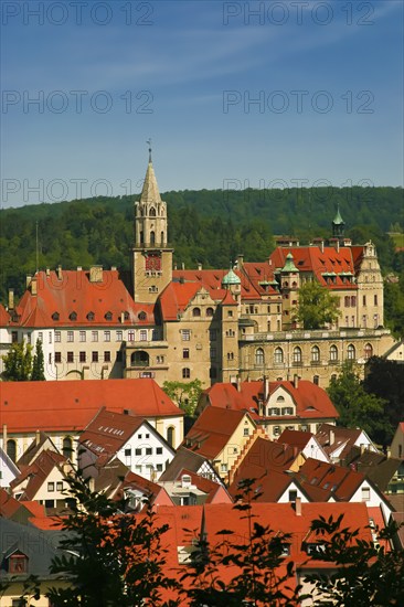 Hohenzollern Castle Sigmaringen, former princely residence and administrative centre of the Princes of Hohenzollern-Sigmaringen, city castle, architecture, historical building, south view, view, city view, roofs, houses, Sigmaringen, Upper Swabia, Baden-Württemberg, Germany, Europe