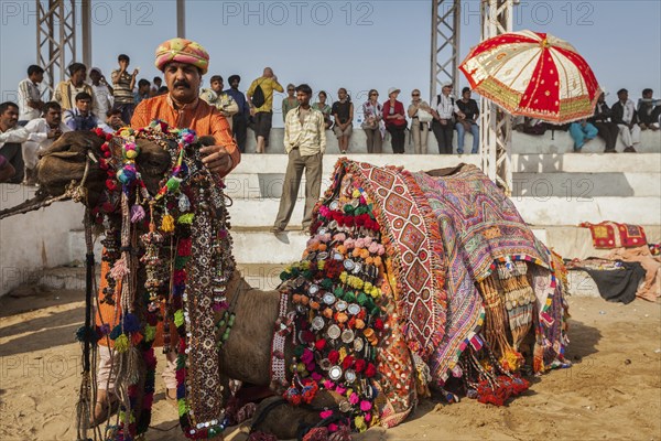 PUSHKAR, INDIA, NOVEMBER 22, 2012: Man decorating his camel for camel decoration contest at Pushkar camel fair (Pushkar Mela), annual five-day camel and livestock fair, one of the world's largest camel fairs and tourist attraction