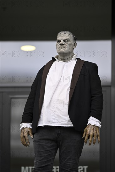 Frankenstein's Monster, disguise, dressed up, creepy, horror, halloween, costume, costumes, grandstand, PreZero Arena, Sinsheim, Baden-Württemberg, Germany, Europe