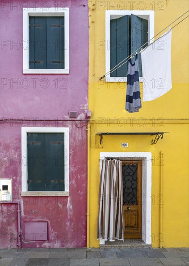 Purple and yellow house facade with entrance door and windows and clothesline, colourful houses on the island of Burano, Venice, Veneto, Italy, Europe