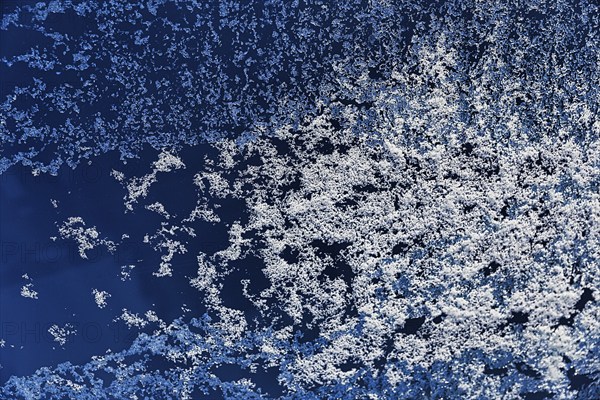 Illuminated frost, hoarfrost, ice crystals on glass, window pane of a flat in winter, symbol image, wallpaper