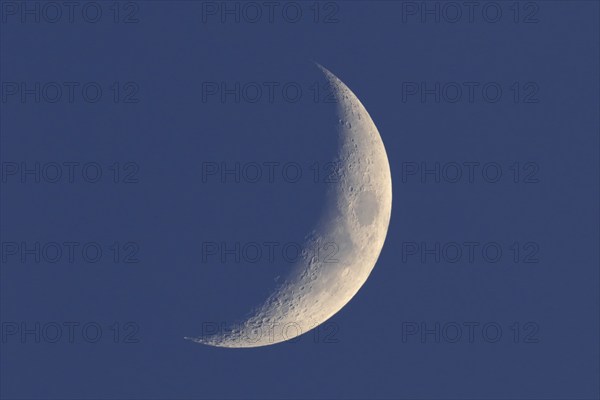 Crescent moon, waning moon, Flusslandschaft Peenetal nature park Park, Mecklenburg-Western Pomerania, Germany, Europe