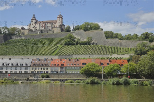 View of Marienberg Fortress with vineyards on the Schlossberg and houses on the banks of the Main, wine-growing area, vines, river, Würzburg, Lower Franconia, Franconia, Bavaria, Germany, Europe