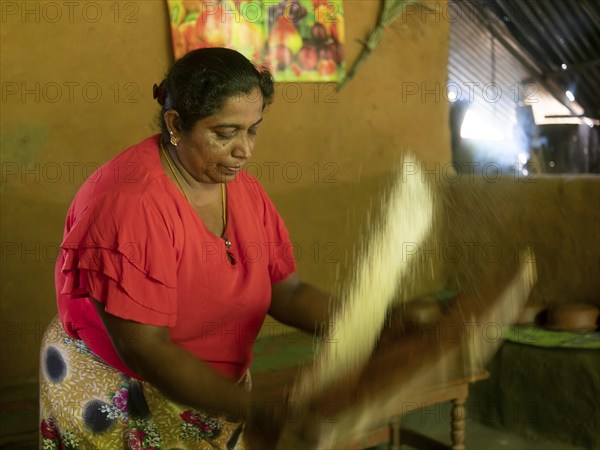 Sinhala woman shaking rice with basket, Sri Lanka, Asia