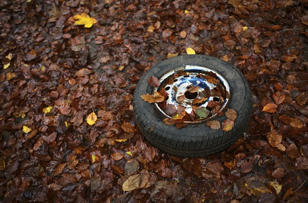 Old car tyre, wheel, rim, lying in autumn leaves, Swabian Forest, Baden-Württemberg, Germany, Europe