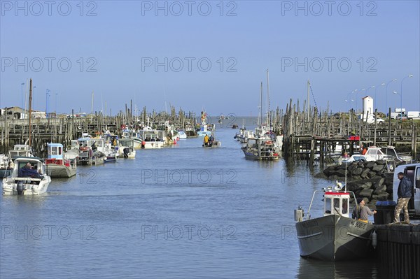 Fishing boats and oyster farming boats in the harbour Port du Bec near Beauvoir-sur-mer, La Vendée, Pays de la Loire, France, Europe