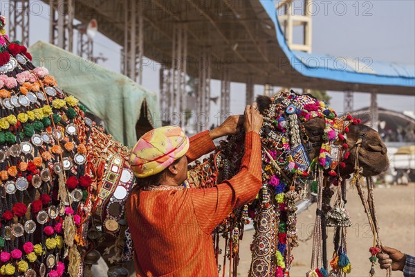 PUSHKAR, INDIA, NOVEMBER 22, 2012: Man decorating his camel for camel decoration contest at Pushkar camel fair (Pushkar Mela), annual five-day camel and livestock fair, one of the world's largest camel fairs and tourist attraction