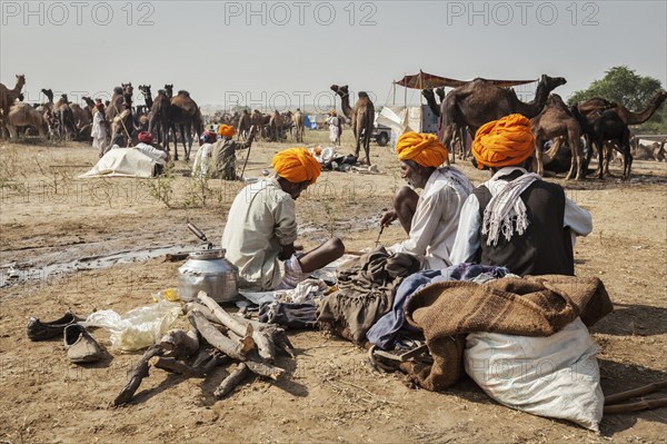 PUSHKAR, INDIA, NOVEMBER 20, 2012: Indian men and camels at Pushkar camel fair (Pushkar Mela), annual five-day camel and livestock fair, one of the world's largest camel fairs and tourist attraction