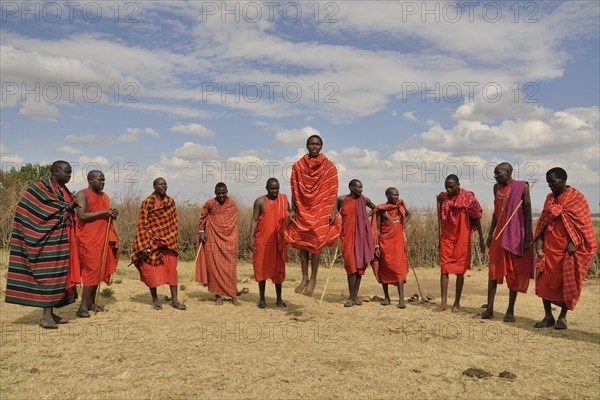 Maasai at a dance performance, Massai Mara, Enkutoto, Serengeti, Rift Valley province, Kenya, Africa