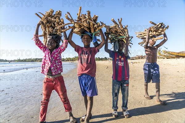 Children on the beach carrying bundles of firewood on their heads, Sanyang, Gambia, West Africa, Africa