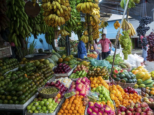 Fruit stand with colourful tropical fruits, bananas, mangoes, Sri Lanka, Asia