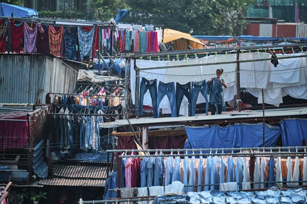 MUMBAI, INDIA, OCTOBER 31, 2019: Dhobi Ghat Mahalaxmi Dhobi Ghat is open air laundromat lavoir in Mumbai, India with laundry drying on ropes. Now signature landmark tourist attractions of Mumbai