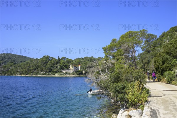 Beautiful cycle path along the lake, Mljet Island, Dubrovnik-Neretva County, Croatia, Europe