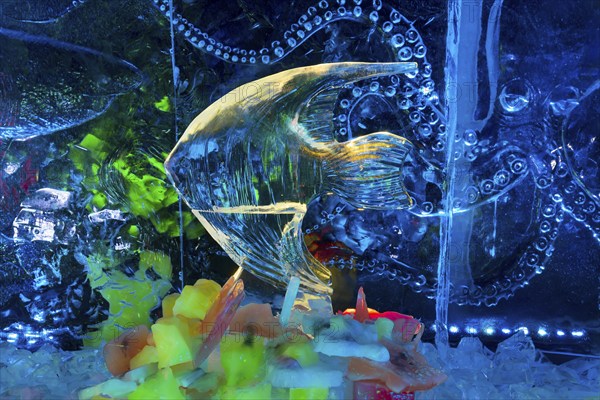 Fish in front of octopus, Ice Sculpture Festival, Zwolle, Province of Overijssel, Netherlands