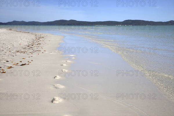 White sandy shoreline of Whitehaven Beach on Whitsunday Island in the Coral Sea, Queensland, Australia, Oceania