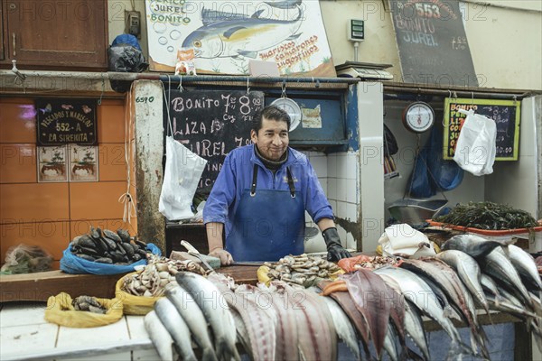 Fishmonger, Mercado Artesanal, Huancayo, Peru, South America