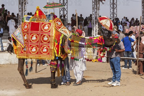 PUSHKAR, INDIA, NOVEMBER 22, 2012: Camel decoration competition contest at Pushkar camel fair (Pushkar Mela), annual five-day camel and livestock fair, one of the world's largest camel fairs and tourist attraction