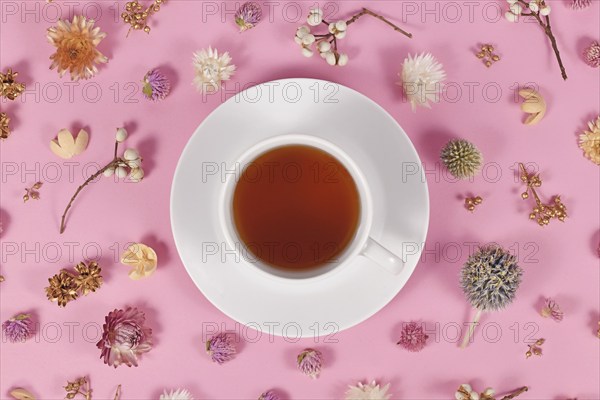 Cup of tea surrounded by flower decoration on pink background