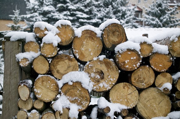 Firewood pile