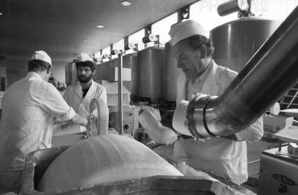 The work of the Westmilch dairy in the production of butter on 28.05.1980 in Her ford-Extertal, DEU, Germany, Herford, Europe