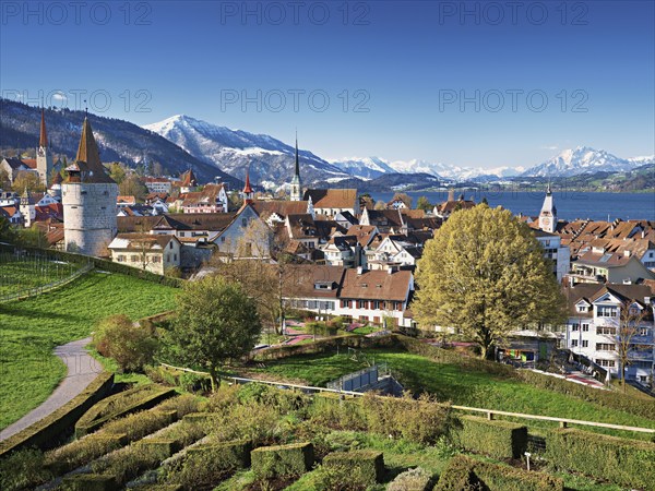 View from the rose garden at the Guggi to the Zytturm, Capuchin tower and church, old town, behind Rigi, Pilatus, Zug, Canton Zug, Switzerland, Europe