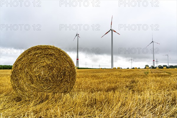 Power lines, high-voltage power lines, wind turbines, grain field, north-east of Höxter, North Rhine-Westphalia, Germany, Europe