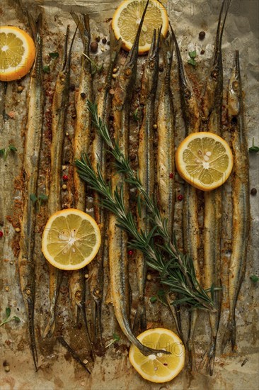 Fried fish, sargan, black sea pike, top view, close-up, no people