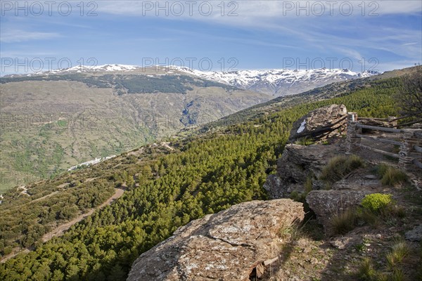 Snow capped Sierra Nevada Mountains, High Alpujarras, near Capileira, Granada Province, Spain, Europe