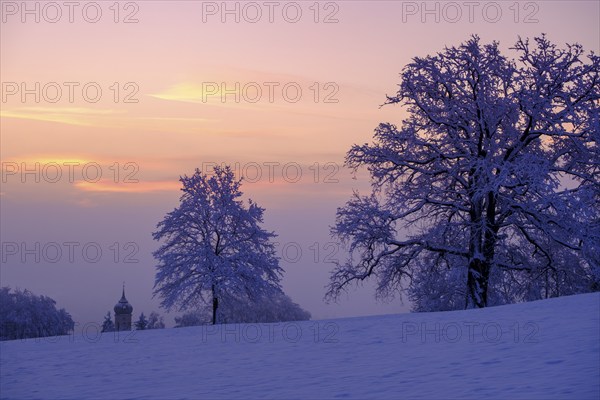 Sunrise with hoarfrost in winter, at the Schlossberg, Eurasburg, Loisachtal, Upper Bavaria, Bavaria, Germany, Europe