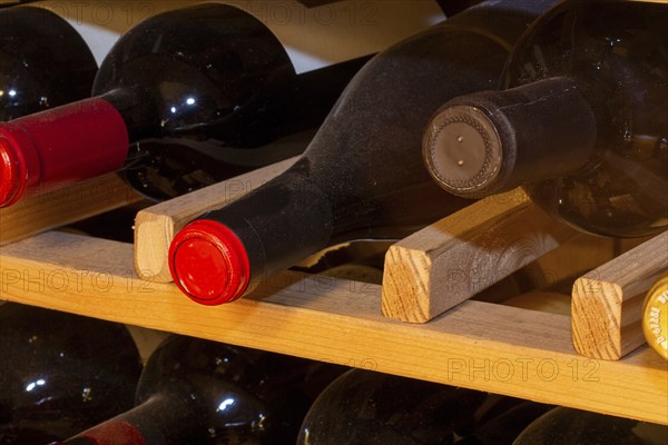 Wine cellar with red wine bottles