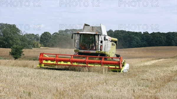 Combine harvester harvesting grain on an organic farm, Müncheberg, 28/07/2020