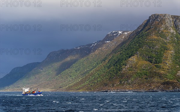 Container Ship NCL AVEROY, ALESUND, Geirangerfjord, Norway, Europe